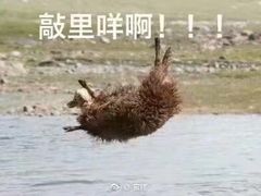 -品腐记·豆腐王朝(老门东总店)