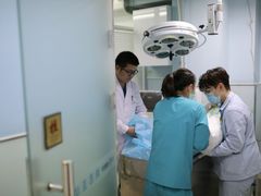 -纳吉亚猫专科动物诊疗中心(蒋宅口分院)