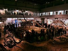 -自贡恐龙博物馆