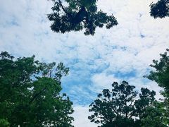 -景福宫