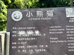 -都江堰中华大熊猫苑