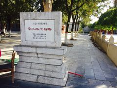 -赵州桥景区