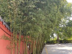-百脉泉景区