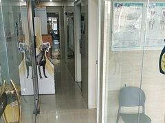 -瑞派天使宠物医院·神经外科·骨科·核磁(洛川中路店)
