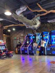 -卡通尼·Safari非洲探索乐园·生日会(金桥国际商业广场店)