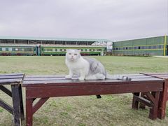 -武汉紫薇都市田园
