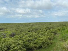 -北海金海湾红树林生态旅游区