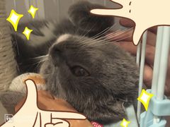 -Oh My Dog宠物沙龙(伊珊娜皮毛护理店)