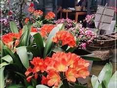 -海韵人家.海景花园经典云南菜(双廊店)
