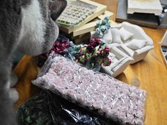 -不作·手工银饰DIY(西红门店)