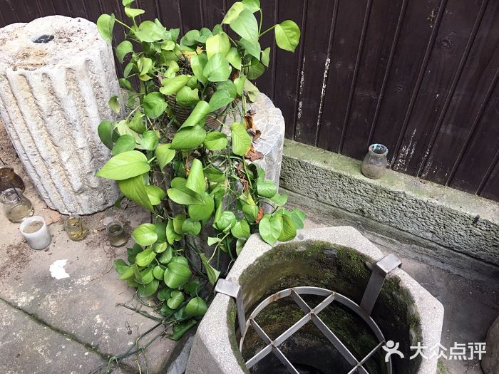 钱塘第一井图片