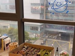-MINI MARS KIDS CLUB亲子家庭中心(杨浦黄兴店)