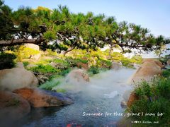 -罗红摄影艺术馆