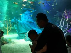 -沈阳海洋探索中心