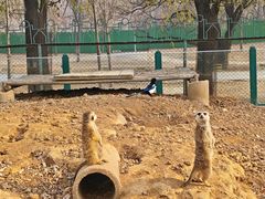 -秦皇岛野生动物园