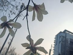 -宜家家居(高新商场店)