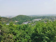 -上海佘山国家森林公园西佘山园