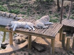 -石家庄市动物园