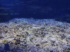 -海合安武汉极地海洋公园