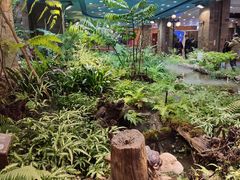 -凯德广场(学府店)