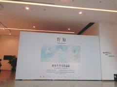 -四川美术馆