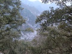 iphone_upload_pic-塔云山
