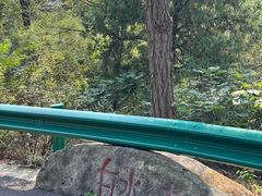 -白水寺森林公园