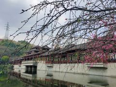 -重庆彩云湖湿地公园
