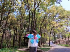 -青龙山国家森林公园