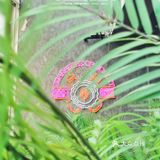 [种草]【探店】藏在绿化里的意大利风情