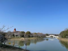 -上海海湾国家森林公园