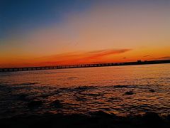 -宝安西湾红树林湿地公园