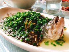 烧椒鲈鱼-尘香•传统川菜(创汇首座店)