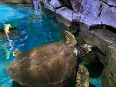 -多彩贵州城极地海洋世界