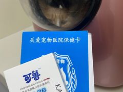 -关爱宠物医院·猫科中心·消化科(滨湖万达分院)
