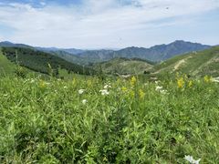 -灵山