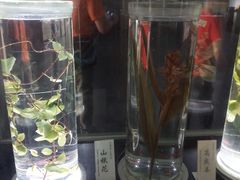 -广东中医药博物馆