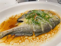 清蒸东海大黄鱼-金汤宴餐厅·粤菜(德云社店)