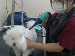 -美联众合动物医院(唯恩分院)