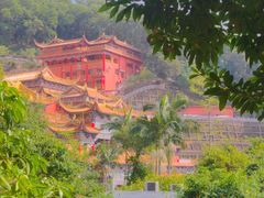 -东莞市大岭山森林公园