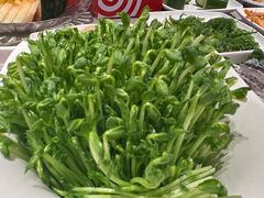 -海底捞火锅(塘厦天虹店)