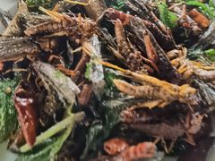 -石屏老字号4号包浆豆腐美食城(泼水广场店)