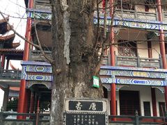 -章华寺