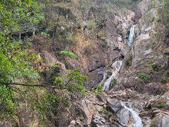 -九龙江国家森林公园