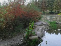 android_upload_pic-新江湾城公园