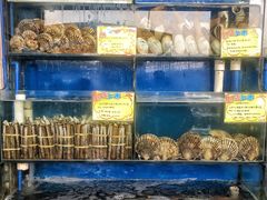 -蚝专家(北滘店)