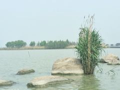 -滆湖低碳生态公园