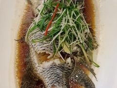 -骏莱海鲜鱼港(五角场店)