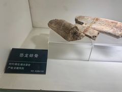 -安徽省地质博物馆