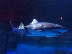 -威海华夏城景区